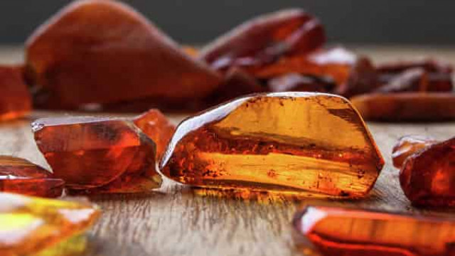 Дії Зеленського в Житомирській області розворушили «осине гніздо»