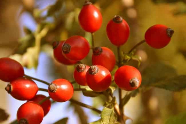 15 октября: какой сегодня праздник