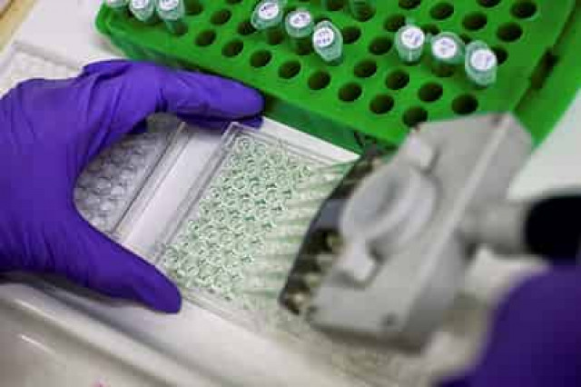 Создана эффективная вакцина от рака
