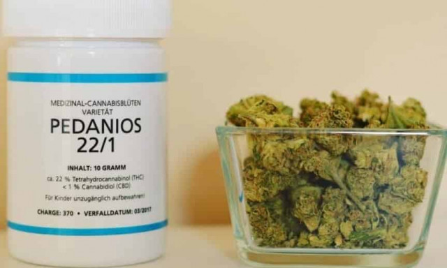 В Раде поддержали легализацию медицинского каннабиса