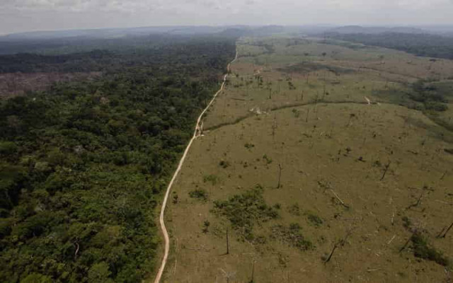  Brazil’s environmental changes under Bolsonaro