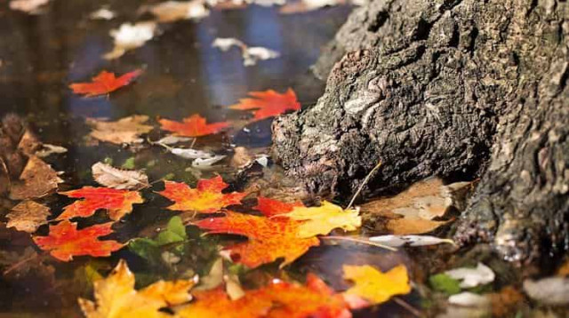 16 октября: какой сегодня праздник