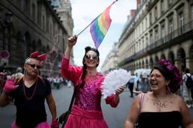 Во Франции озаботились гомофобами
