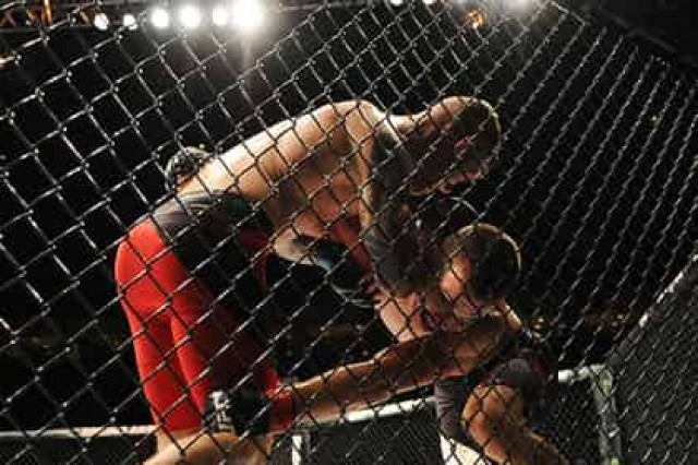 ЦРУ выявило сливавшего данные WikiLeaks предателя
