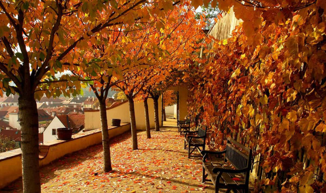 17 октября: какой сегодня праздник