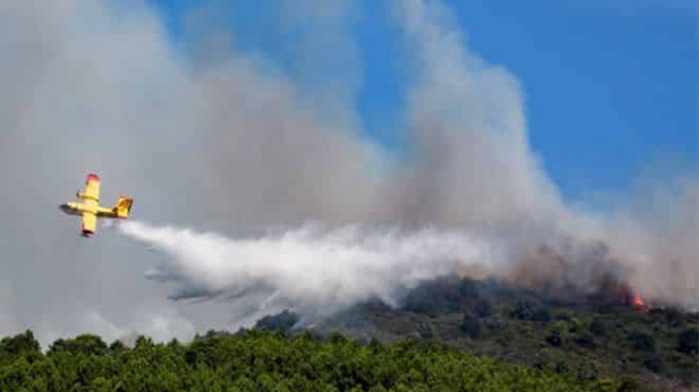 Italian students' BBQ results in €13m fine for forest fire