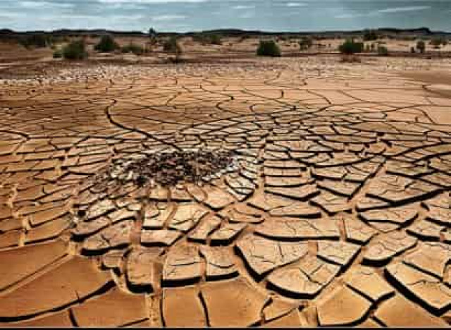 About 47% of Turkey lands under risk of desertification