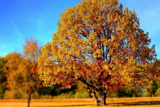 18 октября: какой сегодня праздник