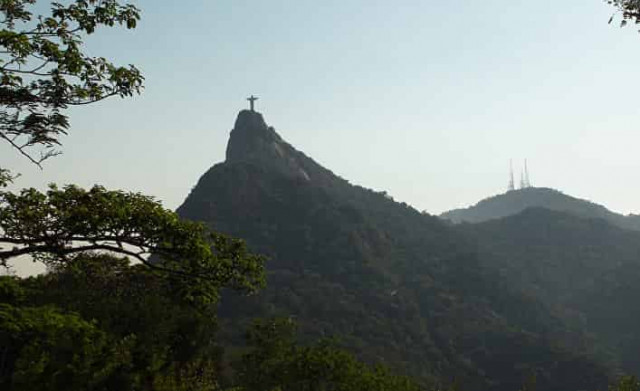 Назвать цену тропических лесов