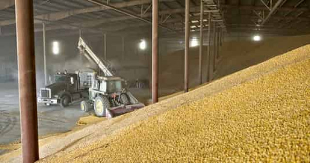 Из федерального интервенционного фонда украли 19 тысяч тонн зерна