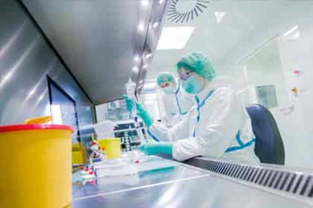 Найден новый способ продлить жизнь