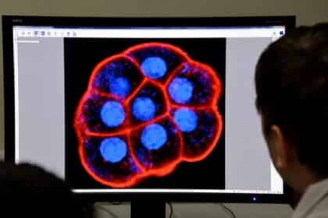 Найден новый метод лечения депрессии
