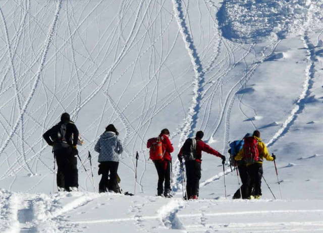 В Канаде погибли альпинисты в результате схода лавины
