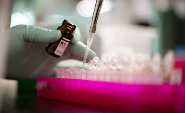 Святой Грааль генной инженерии