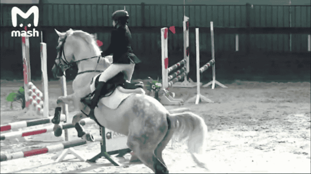  Экс-полковник Захарченко из СИЗО купил для своей дочери коня
