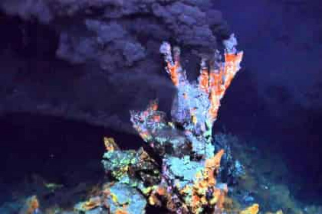 Создана новая форма жизни
