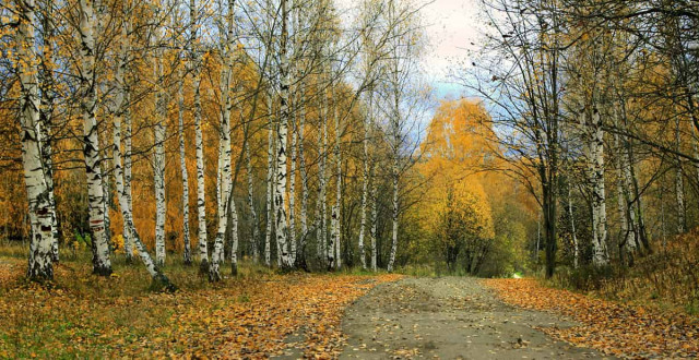 22 октября: какой сегодня праздник