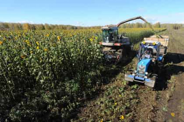 Трактор раздавил спящую в поле женщину в Башкирии
