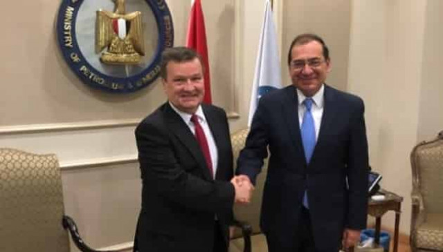 Ukraine, Egypt discuss extension of energy cooperation