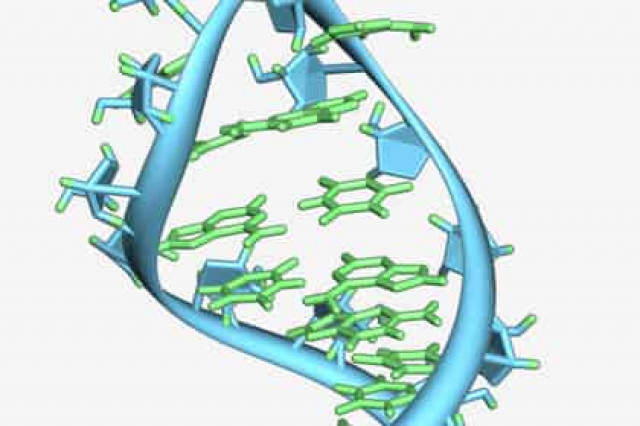 Создано универсальное средство от рака