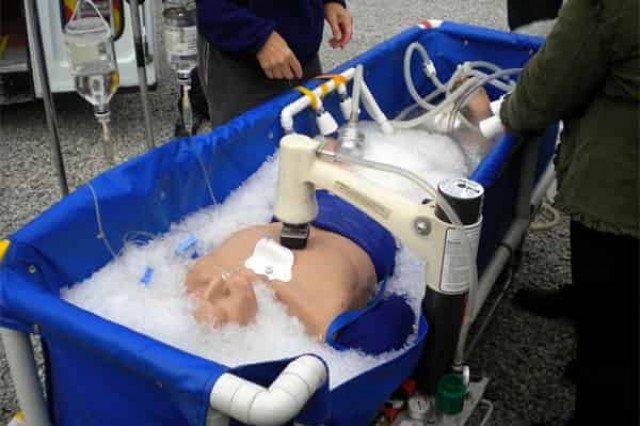 Впереди — криовечность