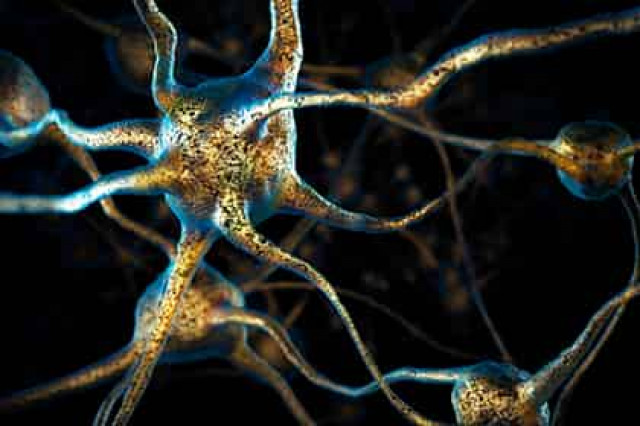 Причину ухудшения памяти нашли в кишечнике