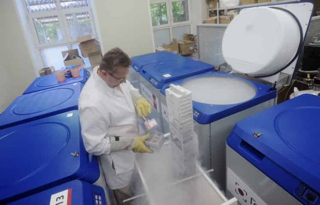 Японские ученые вырастили из стволовых клеток ткань легочных альвеол