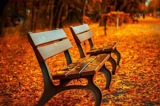 24 сентября: какой сегодня праздник и приметы дня