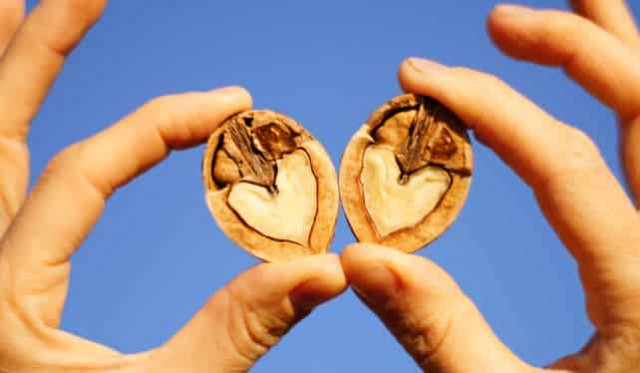 Орехи хорошего настроения