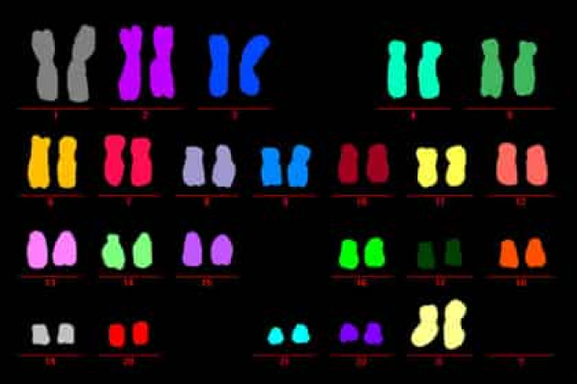 Раскрыт способ предотвратить рак
