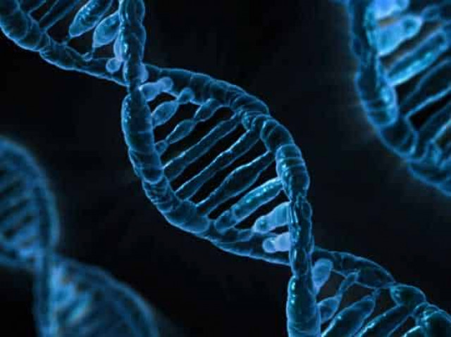 Ученые рассказали, как будут выглядеть люди в 3016 году