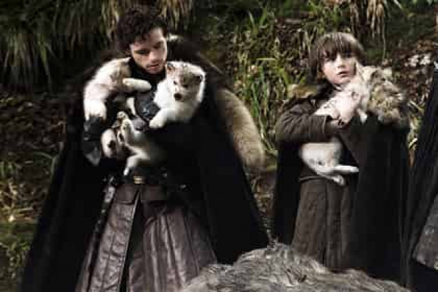 Накупившие хаски фанаты «Игры престолов» начали массово избавляться от питомцев