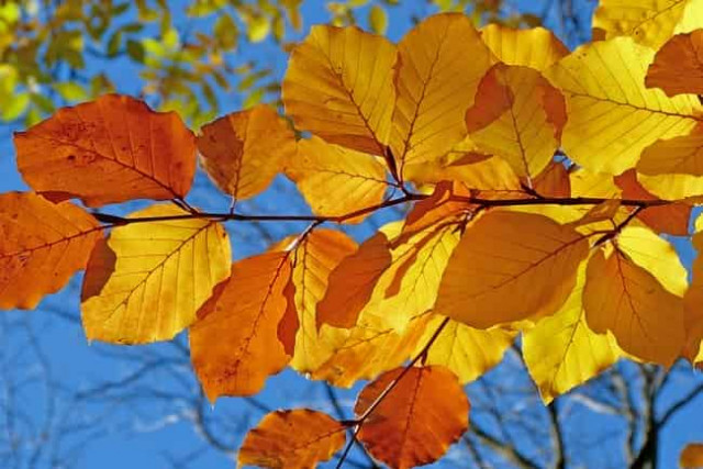 25 сентября: какой сегодня праздник и приметы дня