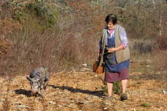 В трюфелях нашли аналогичные марихуане психоактивные вещества
