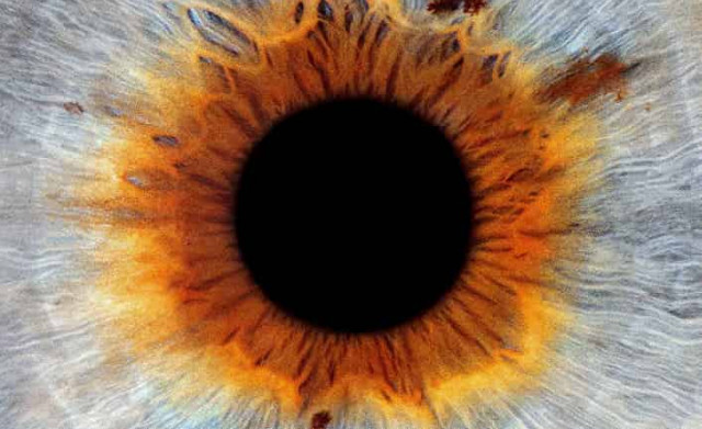 Существование тонкой настройки не указывает на существование настройщика