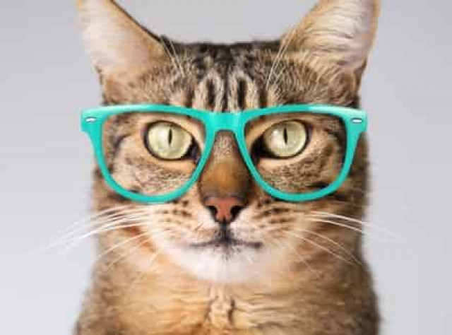 10 неожиданных признаков высокого интеллекта