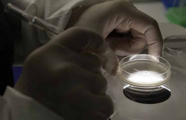 Китайские ученые впервые генетически модифицировали эмбрион человека