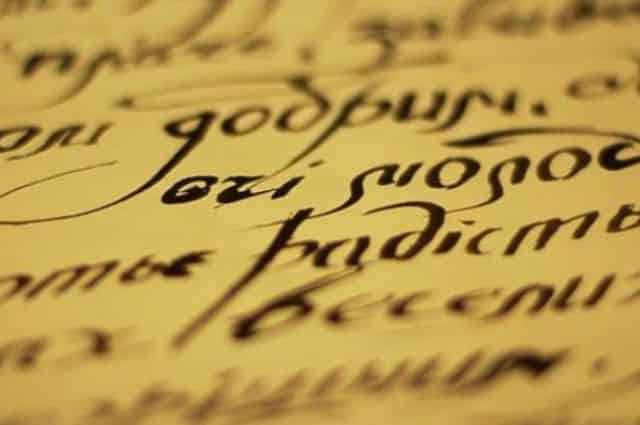 Закон о языке – символ идентичности, а Новинский – просто 