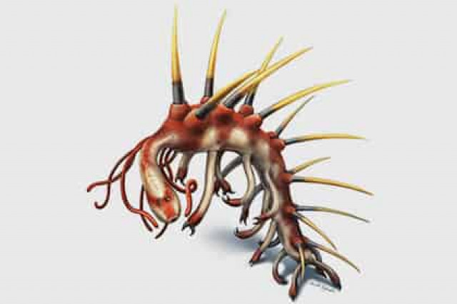 Ученые показали лицо галлюцигении