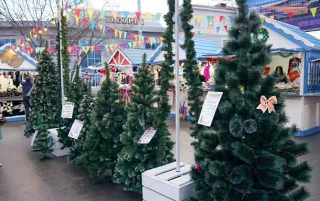 В Симферополе продают украинские елки (фото)