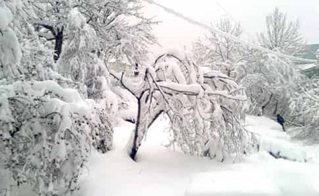 Украину накроет снегом, на дорогах гололедица