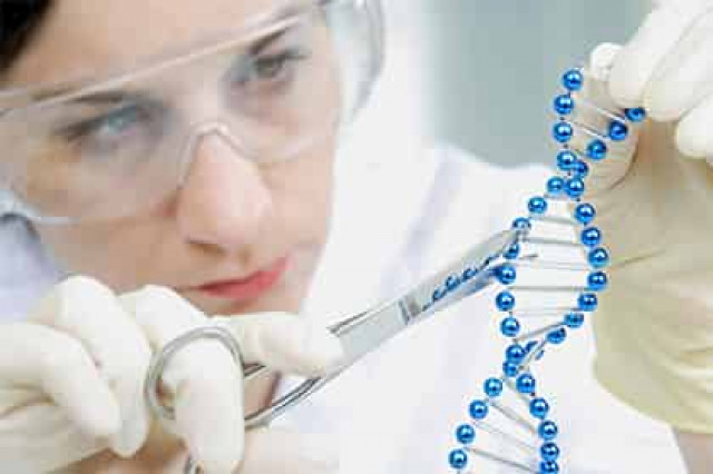 Найден эффективный способ выявления рака