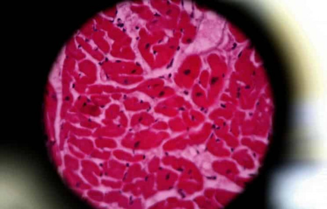 Физики научились управлять движением отдельных электронов в молекуле