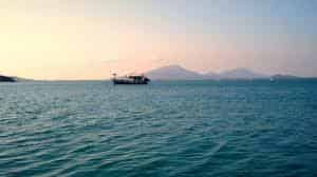 В Китае власти скрыли десятки тонн утекших в море ядовитых отходов
