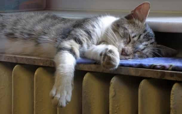 Зеленський: Україна повністю готова до зими