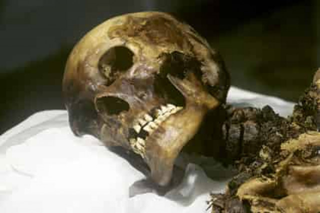 В петербургской квартире нашли замурованный скелет