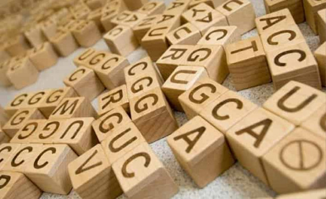 Контрреволюция дарвинистов