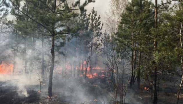 Hot weather raises extreme fire danger in most regions of Ukraine