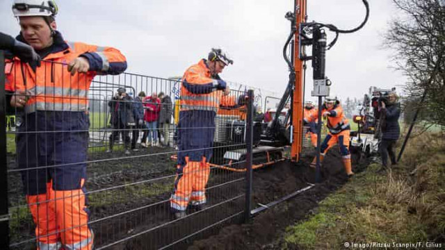 Denmark begins building wild boar fence along border with Germany