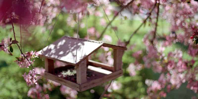 В Украину идет потепление